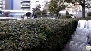 www⭕❌nalanlady🍆中文字幕的成人视频🔞